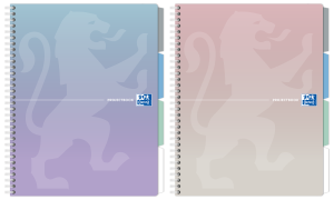 KOŁOZESZYT OXFORD GRADIENT PROJECTBOOK B5/80K PASTELOWY