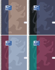 OXFORD KOŁOZESZYT B-YOU B5 100 KARTEK KRATA 